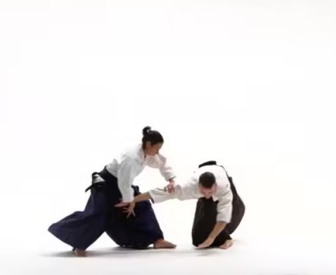 Aikido Técnica